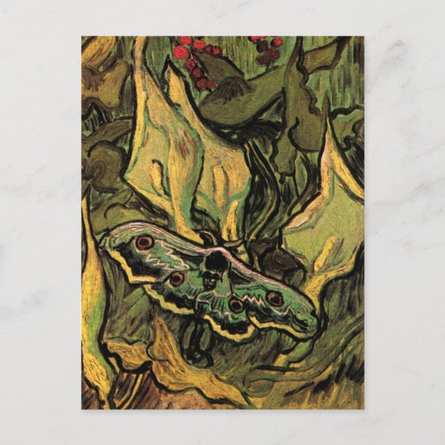 Great Peacock Moth by Vincent van Gogh Postcard (Front)
