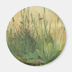 Great Piece of Turf by Albrecht Durer, Vintage Art Magnet