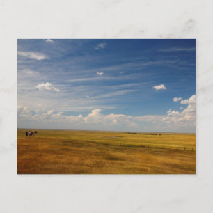 Great Plains in South Dakota in Summer Postcard