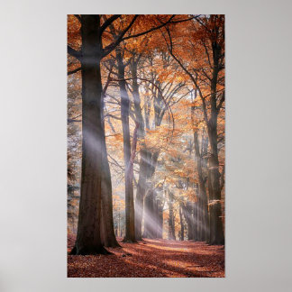 Great Poster of Nature