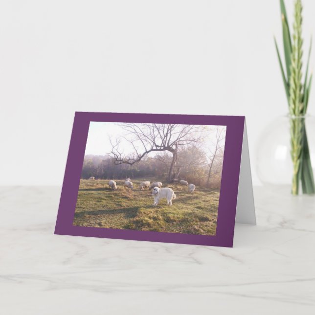 Great Pyr and Flock Card (Front)