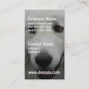great-pyrenees-20.jpg business card