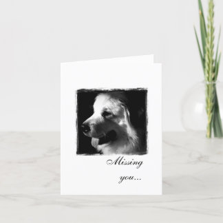 Great Pyrenees Black and White Photo products Card