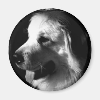 Great Pyrenees Black and White Photo products Magnet