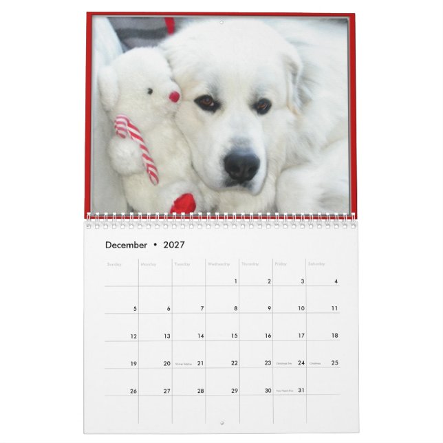 Great Pyrenees Calendar (Dec 2027)