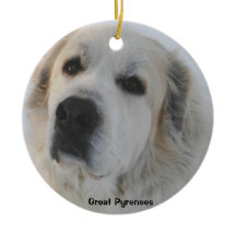 Great Pyrenees