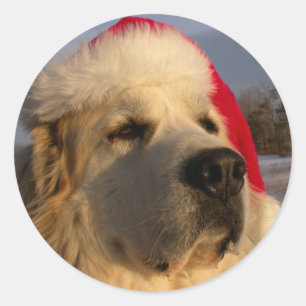 Great Pyrenees Christmas Sticker