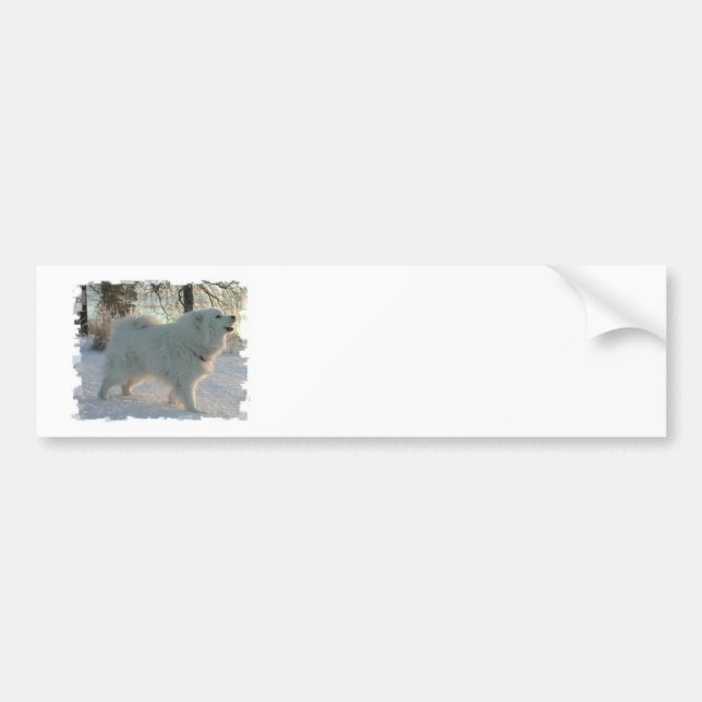 Great Pyrenees Dog  Bumper Sticker (Front)