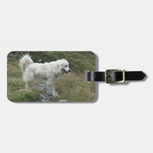 great pyrenees full luggage tag
