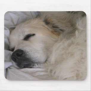 Great pyrenees mousepad