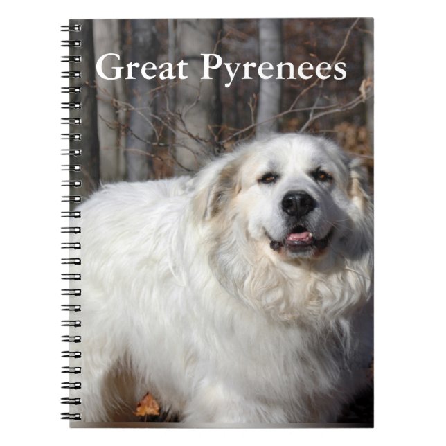 Great Pyrenees Notebook (Front)