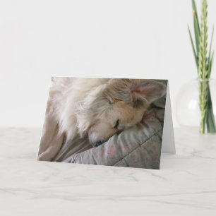 Great Pyrenees Notecard