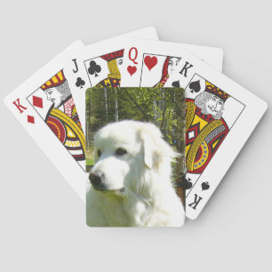great pyrenees playing cards
