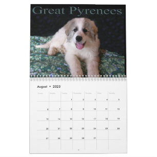 Great Pyrenees Puppy Calendar