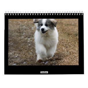 Great Pyrenees Puppy Calendar