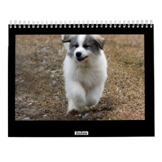 Great Pyrenees Puppy Calendar