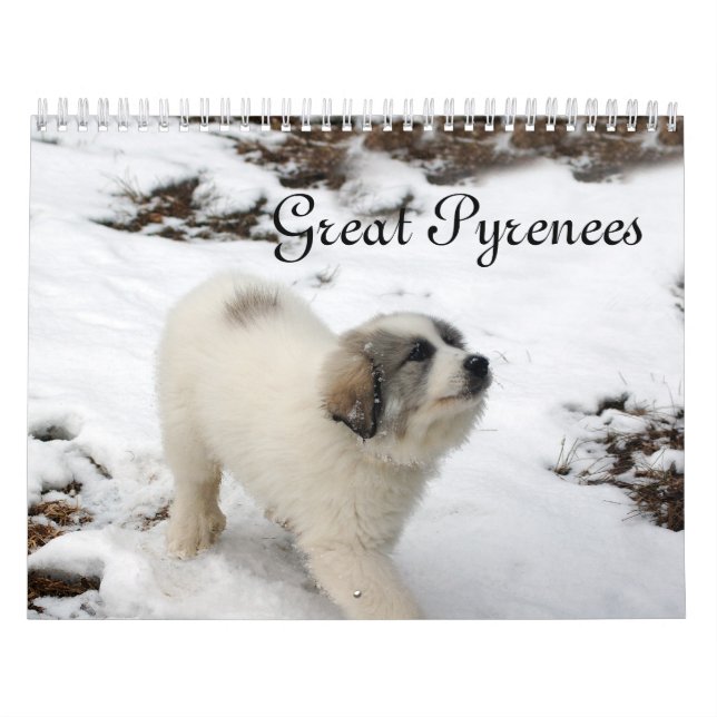Great Pyrenees Puppy Calendar (Cover)