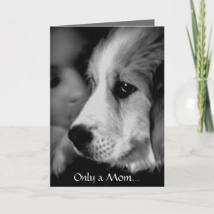 Great Pyrenees Puppy  Mother's Day Card