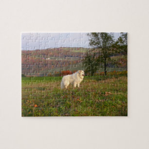 Great Pyrenees Puzzle