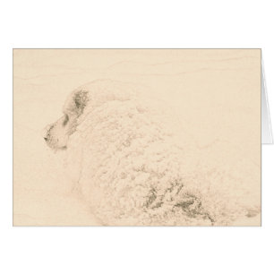 Great Pyrenees, Snow Dog series #1