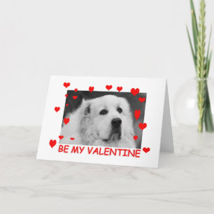 Great Pyrenees valentine card