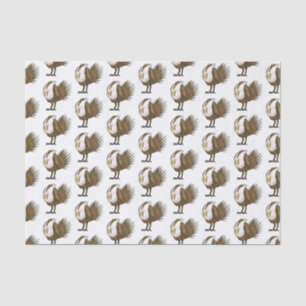 Great sage grouse bird cartoon illustration  tissue paper