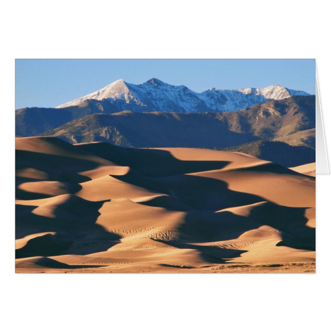 Great Sand Dunes NP at Sunset Blank Card (Front Horizontal)