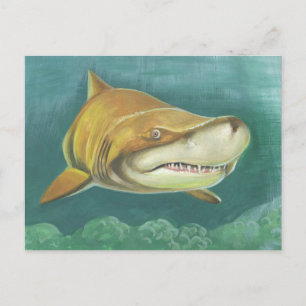 Great Sand Shark Postcard