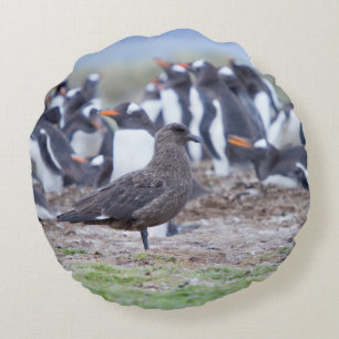 Great Skua in front of penguin colony Round Cushion