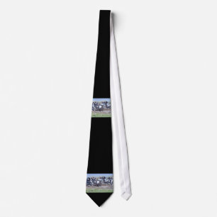 Great Skua in front of penguin colony Tie