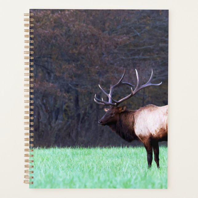 Great Smoky Mountain Elk 2026 Planner (Front)