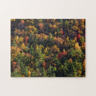 Great Smoky Mountain National Park Jigsaw Puzzle