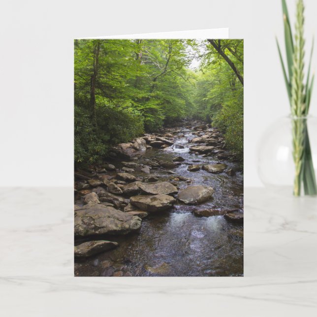 Great Smoky Mountains Blank Greeting Cards (Front)