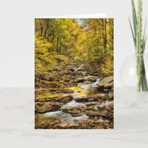 Great Smoky Mountains National Park. Big Creek Card