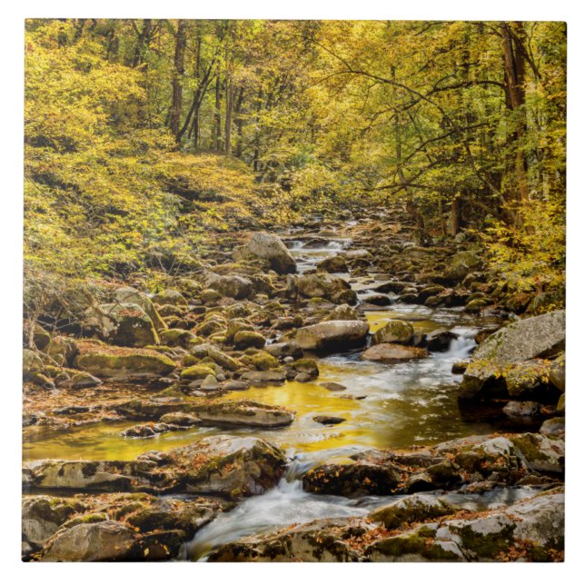Great Smoky Mountains National Park. Big Creek Ceramic Tile (Front)