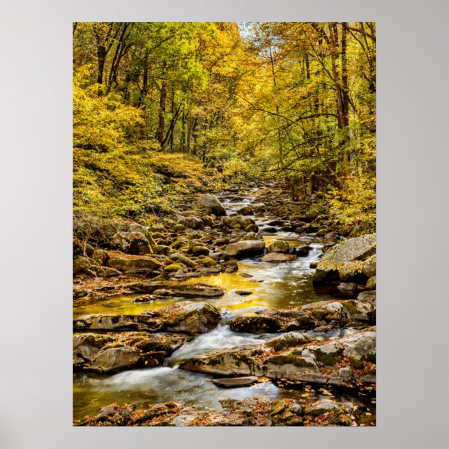 Great Smoky Mountains National Park. Big Creek Poster (Front)