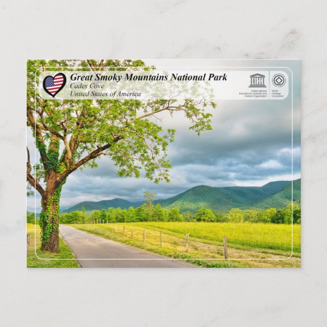 Great Smoky Mountains National Park - Cades Cove Postcard (Front)
