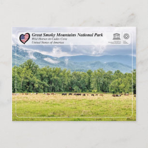 Great Smoky Mountains National Park - Cades Cove Postcard