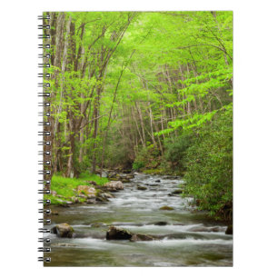 Great Smoky Mountains National Park North Carolina Notebook