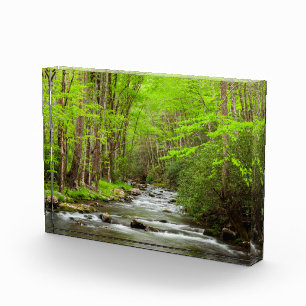 Great Smoky Mountains National Park North Carolina Photo Block