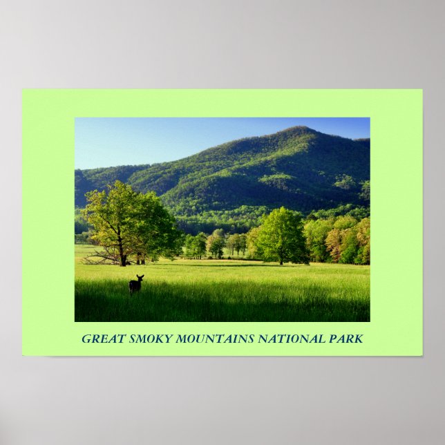 Great Smoky Mountains National Park Photo Poster (Front)