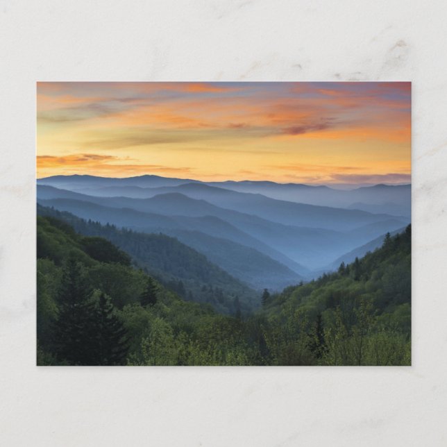 Great Smoky Mountains National Park Postcard (Front)