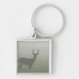 Great Smoky Mountains National Park, Tennesse, Key Ring