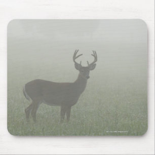 Great Smoky Mountains National Park, Tennesse, Mouse Pad