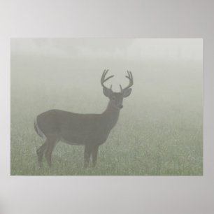 Great Smoky Mountains National Park, Tennesse, Poster