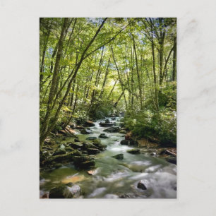 Great Smoky Mountains National Park, Tennessee Postcard