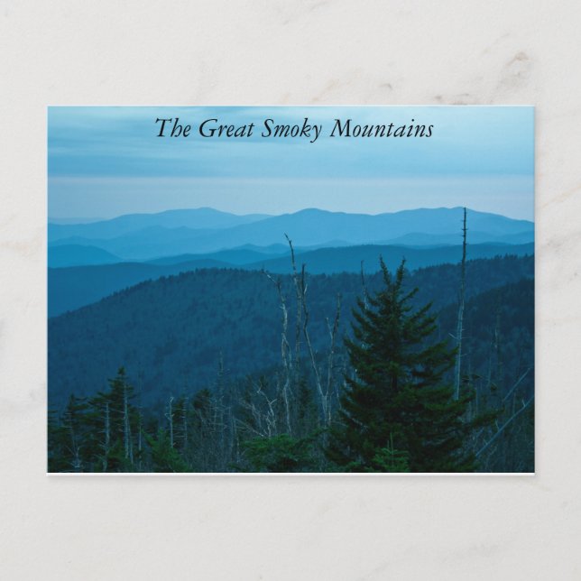 Great Smoky Mountains Postcard (Front)