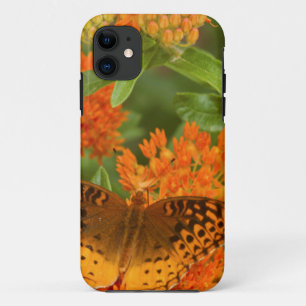 Great Spangled Fritillaries on Butterfly Milkweed iPhone 11 Case