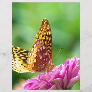 Great Spangled Fritillary