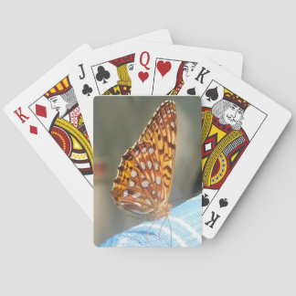 Great Spangled Fritillary Butterfly Cards